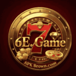6E. Game