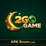 2 Go Game
