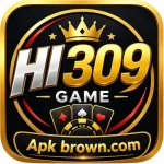 HI309 Game
