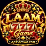 LAAM 777 Game