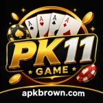 PK11 Game